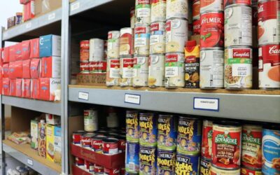 Unprecedented’ number of Niagara residents using food banks: Brock University brief